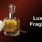 The World of Luxury: Top Fragrances Under ₹10,000